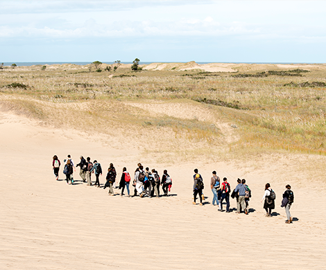 Reserva Natural Faro Querandí